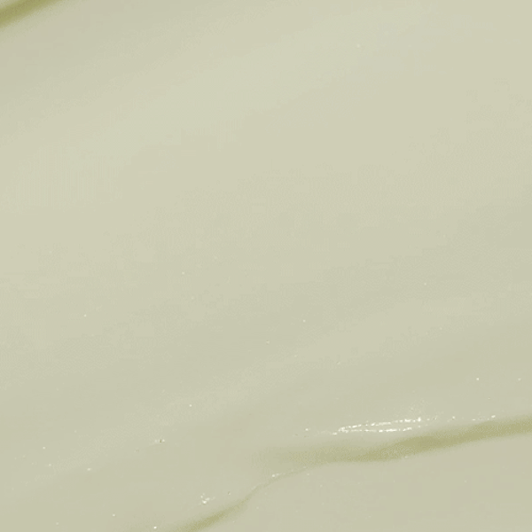 Round Lab Mugwort Calming Cleanser Foaming Cleanser