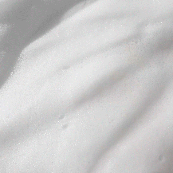 Round Lab 1025 Dokdo Bubble Foam Cleansing Foam