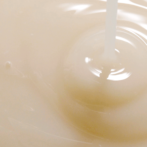 Round Lab Soybean Serum – Deep Nourishment and Renewal for Radiant Skin