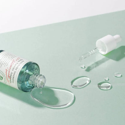 AXIS - Y Artichoke Intensive Skin Barrier Ampoule - KBOX