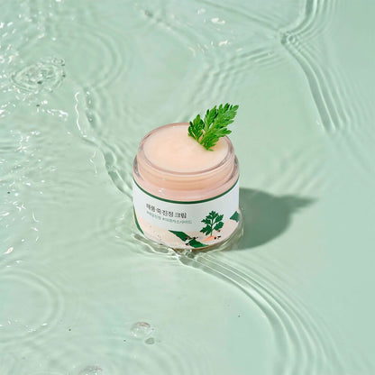 Crema Calmante Round Lab Mugwort Calming Cream - KBOX